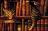 A sleeping tabby cat curled up on a bookshelf among vintage books, with an owl figurine and a bird nearby. Size - 120cm x 80cm