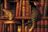 A sleeping tabby cat curled up on a bookshelf among vintage books, with an owl figurine and a bird nearby. Size - 60cm x 40cm