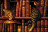 A sleeping tabby cat curled up on a bookshelf among vintage books, with an owl figurine and a bird nearby. Size - 60cm x 40cm