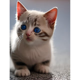 Mr Fluffles Diamond Painting Kit