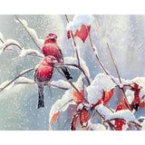 Diamond Painting Kit - Snowy Birds - Full Coverage, Square or Round Drill - Multiple Sizes - Poured Glue - Diamond Pixels Australia