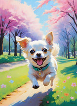 A joyful white Chihuahua runs down a park path lined with cherry blossoms and colourful flowers, full of energy and excitement.