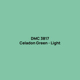 DMC 3817 drill colour