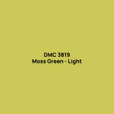 DMC 3819 drill colour