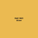 Round Drills | DMC 3800-3830