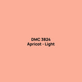 DMC 3824 drill colour