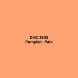 DMC 3825 drill colour