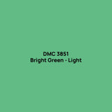 Round Drills | DMC 3831-3860
