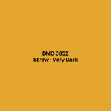 Round Drills | DMC 3831-3860