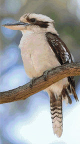 A Diamond Painting Rendering Of A Kookaburra Perched On A Tree Branch, Facing Sideways With Feathers Fluffed And Eyes Alert. Size - 50cm X 90cm