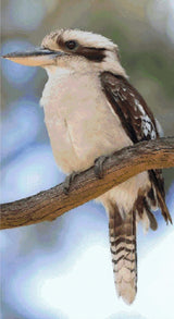 A Diamond Painting Rendering Of A Kookaburra Perched On A Tree Branch, Facing Sideways With Feathers Fluffed And Eyes Alert. Size - 60cm X 110cm