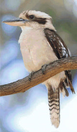 A Diamond Painting Rendering Of A Kookaburra Perched On A Tree Branch, Facing Sideways With Feathers Fluffed And Eyes Alert. Size - 70cm X 120cm