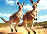 Kangaroo Buddies Diamond Painting Kit