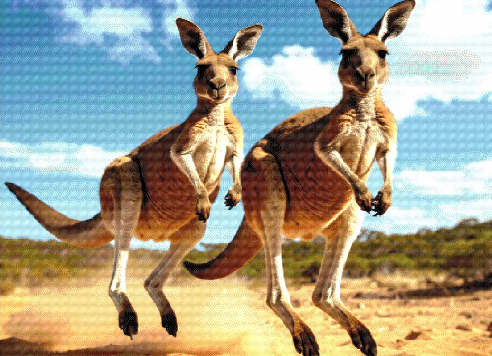 Kangaroo Buddies Diamond Painting Kit