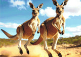 Kangaroo Buddies Diamond Painting Kit