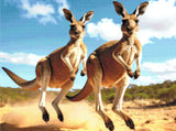 Kangaroo Buddies Diamond Painting Kit
