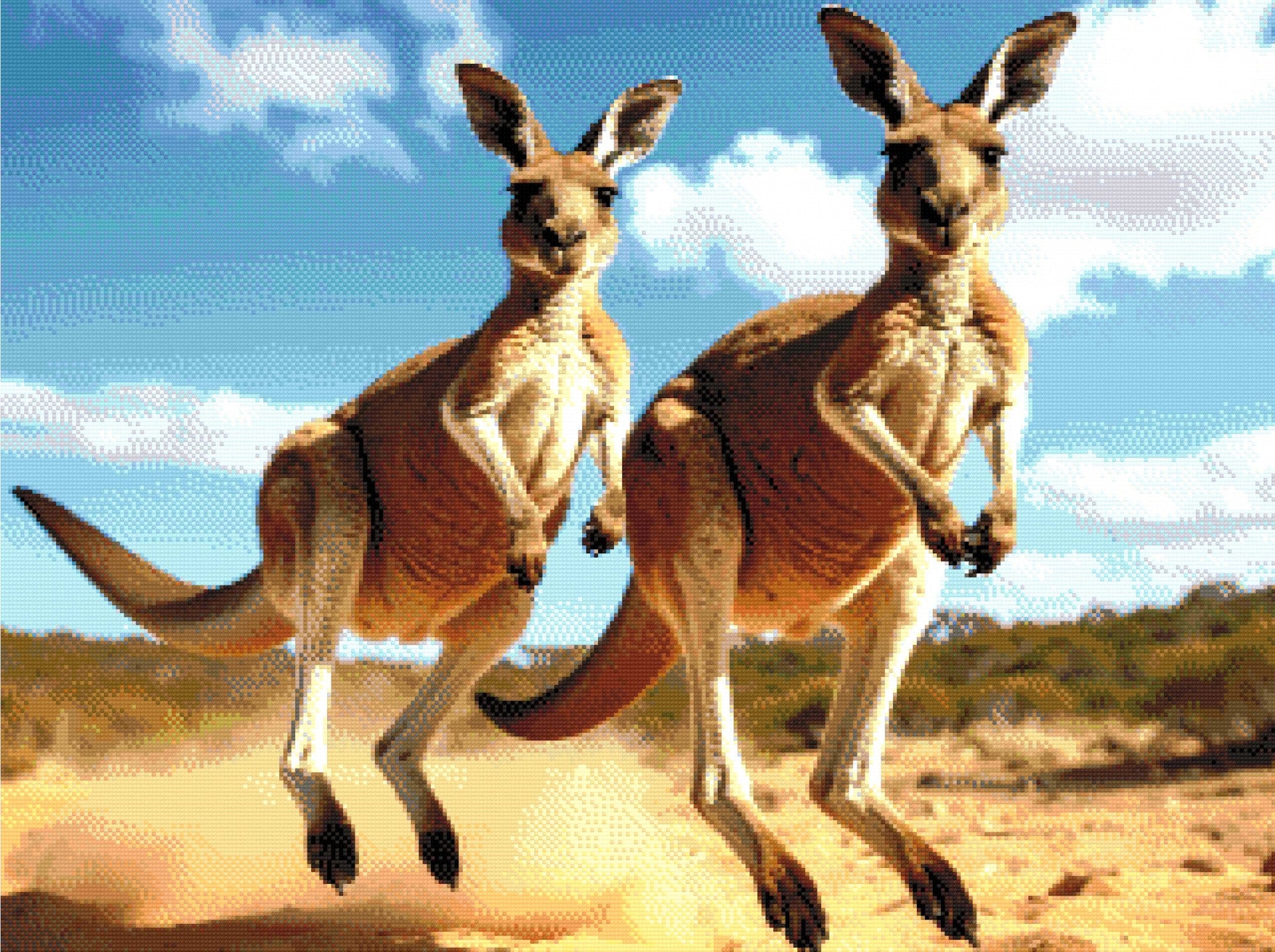 Kangaroo Buddies Diamond Painting Kit
