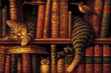 A sleeping tabby cat curled up on a bookshelf among vintage books, with an owl figurine and a bird nearby. Size - 120cm x 80cm
