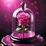 Pink rose under a glass dome with a purple background. Size - 40cm x 40cm