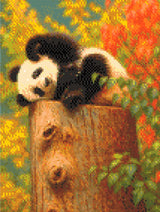 Panda lounging on a tree stump surrounded by colourful autumn leaves. Size - 30cm x 40cm