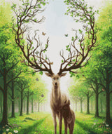 null Size - 50cm x 60cm