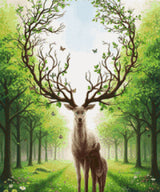 null Size - 50cm x 60cm