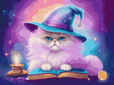 A fluffy cat with a wizard hat sits on a spellbook under a colourful cosmic sky. Size - 40cm x 30cm
