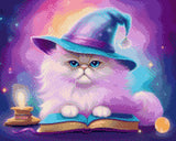 A fluffy cat with a wizard hat sits on a spellbook under a colourful cosmic sky. Size - 50cm x 40cm