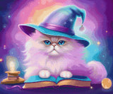 A fluffy cat with a wizard hat sits on a spellbook under a colourful cosmic sky. Size - 60cm x 50cm