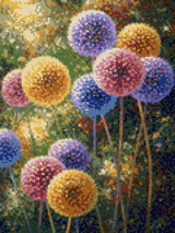 colourful spherical flowers in a vibrant, lush garden setting. Size - 30cm x 40cm