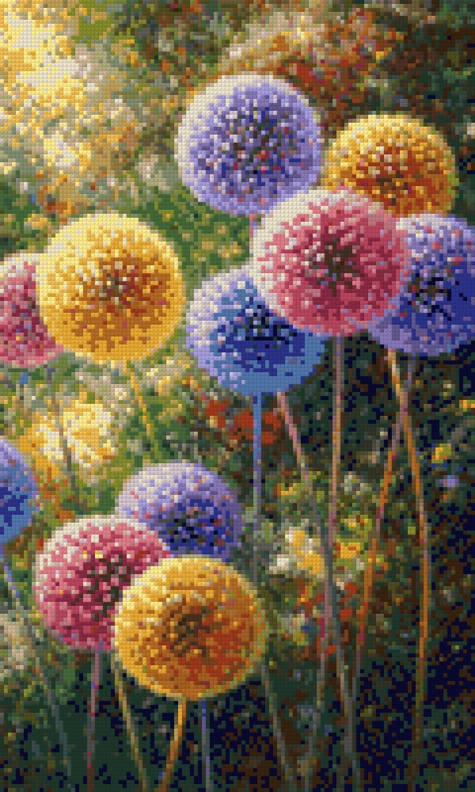 colourful spherical flowers in a vibrant, lush garden setting. Size - 30cm x 50cm