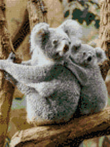 Mother koala and joey clinging to a tree branch. Size - 30cm x 40cm