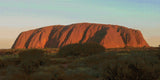 Uluru at sunset with glowing red hues and surrounding greenery. Size - 100cm x 50cm