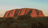 Uluru at sunset with glowing red hues and surrounding greenery. Size - 50cm x 30cm