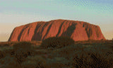 Uluru at sunset with glowing red hues and surrounding greenery. Size - 50cm x 30cm