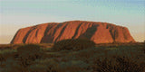 Uluru at sunset with glowing red hues and surrounding greenery. Size - 60cm x 30cm