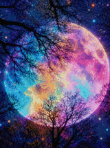 colourful moon in starry sky with silhouetted trees. Size - 60cm x 80cm