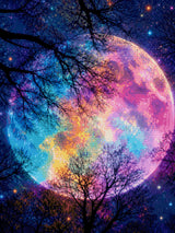 colourful moon in starry sky with silhouetted trees. Size - 60cm x 80cm