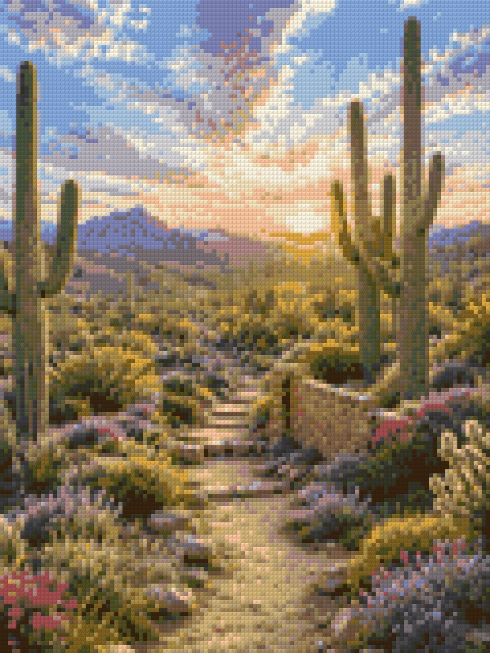 Desert landscape with saguaro cacti, wildflowers, and a sunset. Size - 30cm x 40cm