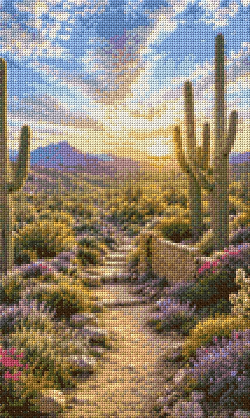 Desert landscape with saguaro cacti, wildflowers, and a sunset. Size - 30cm x 50cm