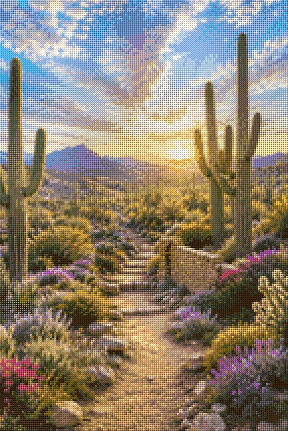 Desert landscape with saguaro cacti, wildflowers, and a sunset. Size - 40cm x 60cm