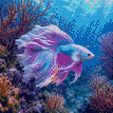 colourful betta fish swimming in vibrant coral reef underwater. Size - 30cm x 30cm