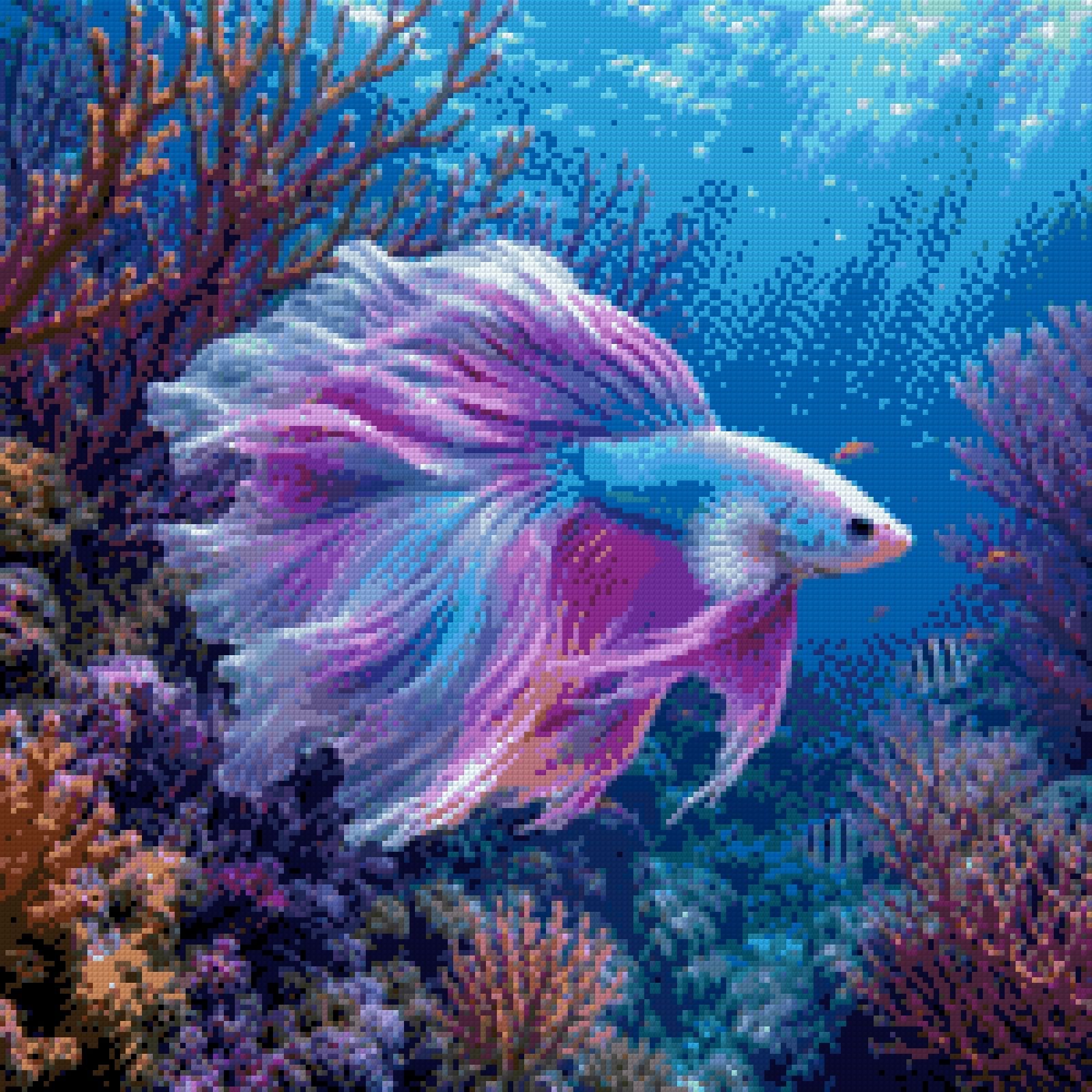 colourful betta fish swimming in vibrant coral reef underwater. Size - 50cm x 50cm