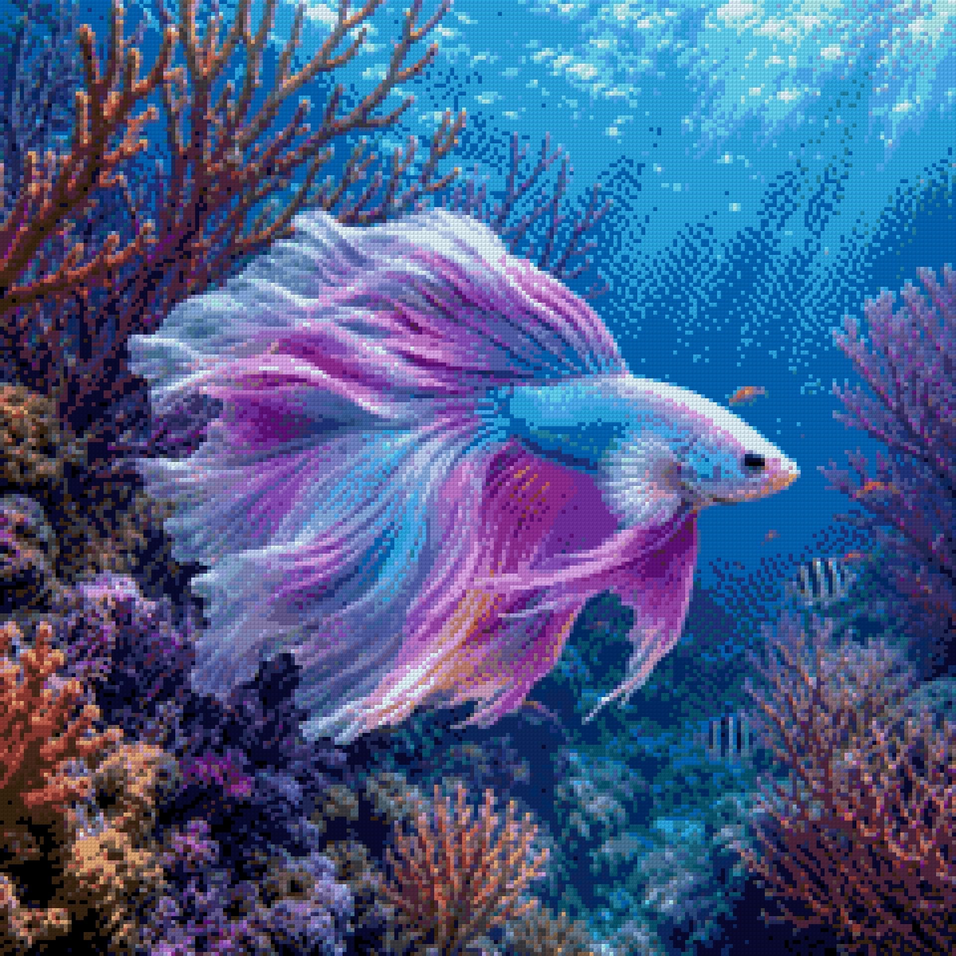 colourful betta fish swimming in vibrant coral reef underwater. Size - 60cm x 60cm