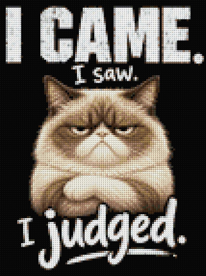 Judgemental cat with text 'I came. I saw. I judged.' Size - 30cm x 40cm