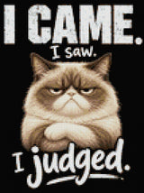 Judgemental cat with text 'I came. I saw. I judged.' Size - 30cm x 40cm