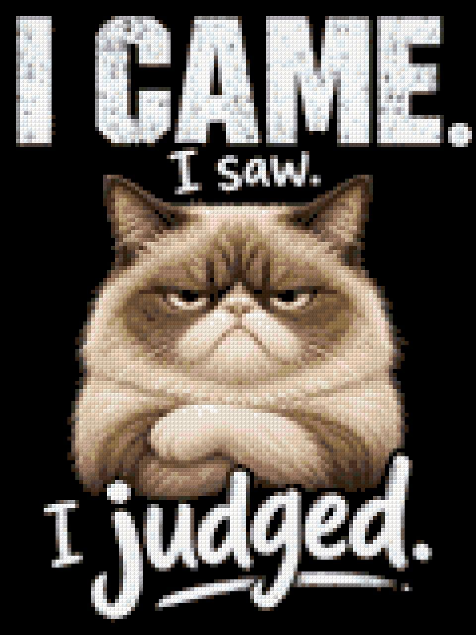 Judgemental cat with text 'I came. I saw. I judged.' Size - 30cm x 40cm