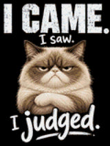 Judgemental cat with text 'I came. I saw. I judged.' Size - 30cm x 40cm