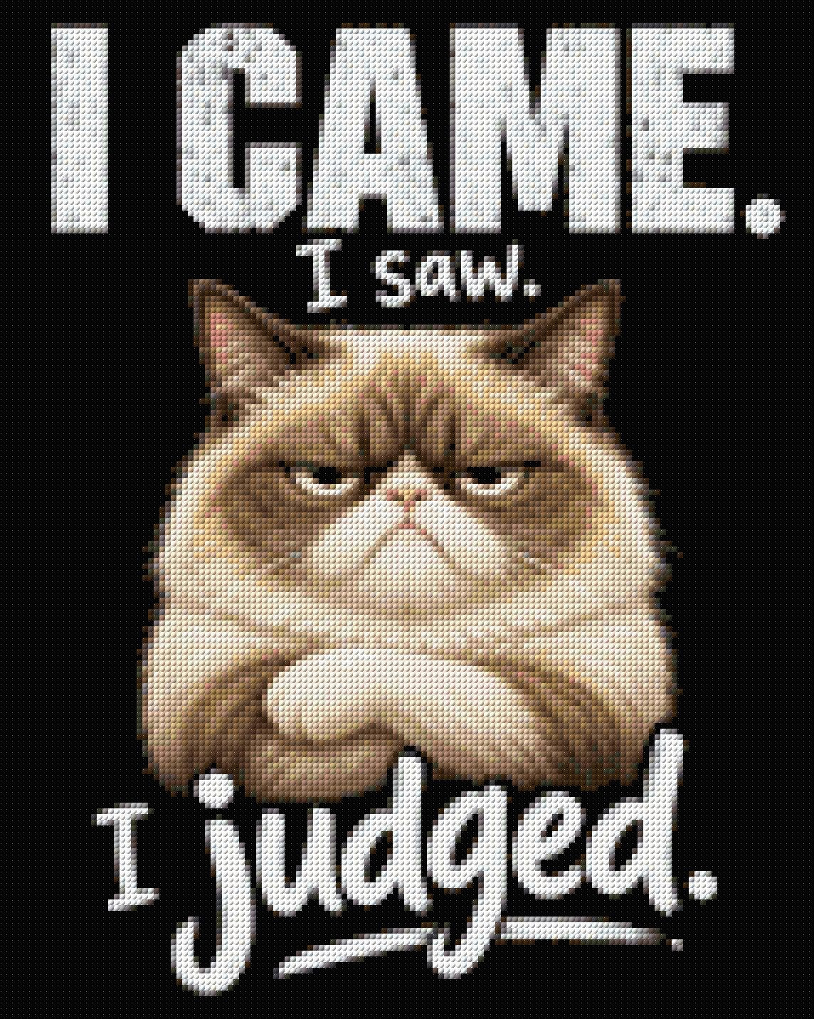Judgemental cat with text 'I came. I saw. I judged.' Size - 40cm x 50cm
