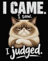 Judgemental cat with text 'I came. I saw. I judged.' Size - 40cm x 50cm